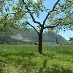 Egglmeier's